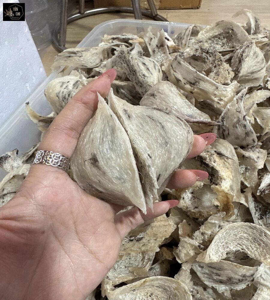 Cách xử lý tổ yến thô Cách xử lý tổ yến thô