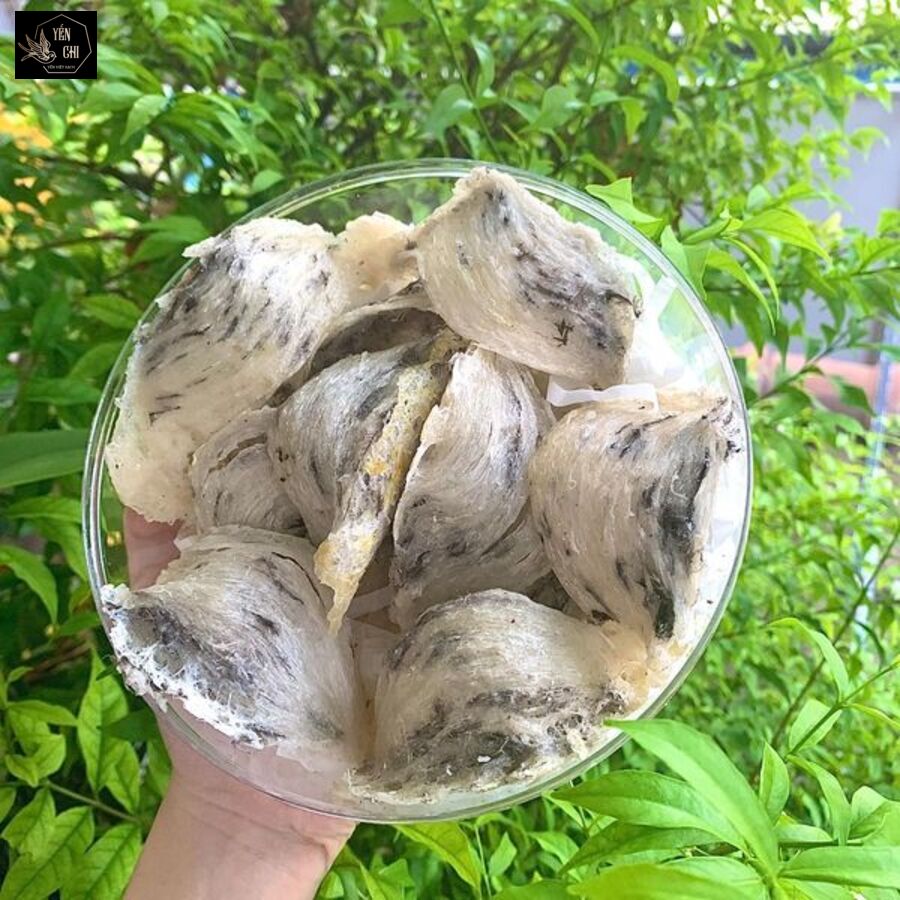 Lợi ích của việc sơ chế yến thô đúng cách Lợi ích của việc sơ chế yến thô đúng cách