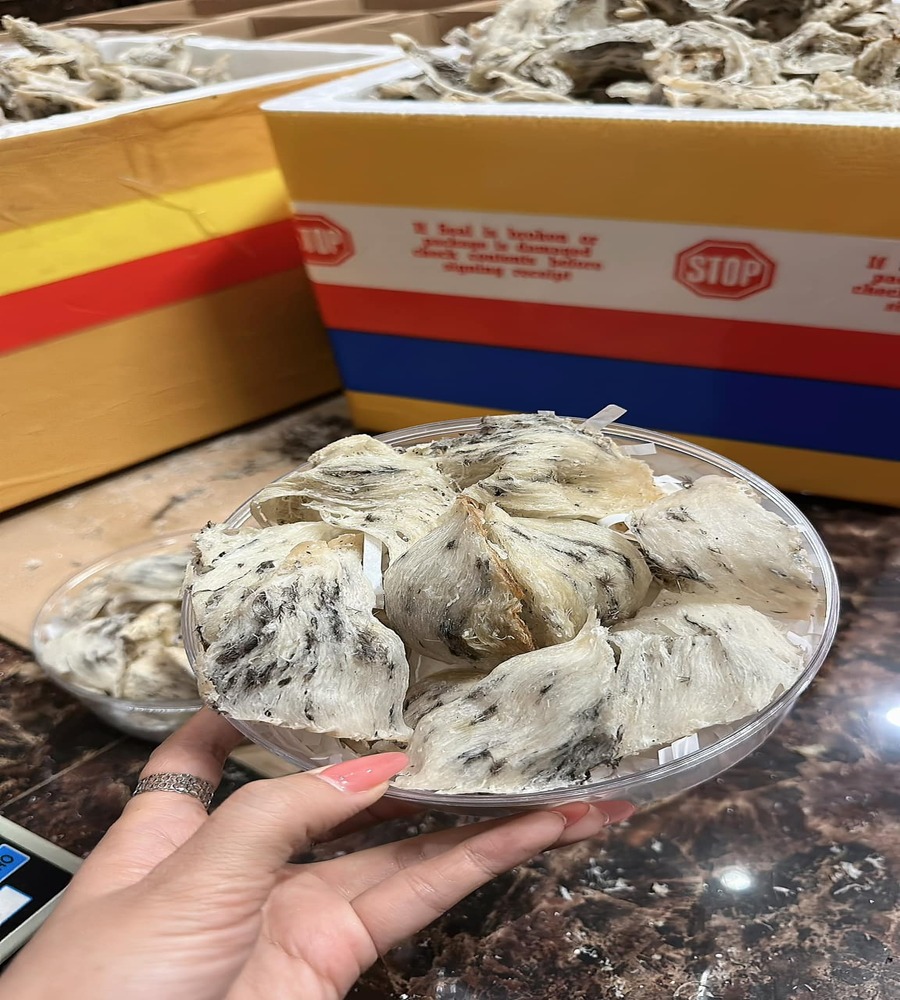 Top 7 Yếu Tố Ảnh Hưởng Đến Giá Yến Thô